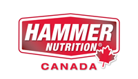 Hammer Logo